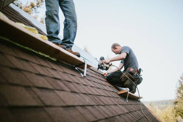 Best Roof Gutter Cleaning  in Fern Prairie, WA